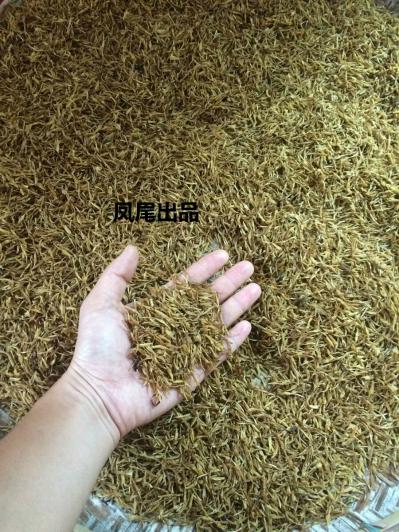 自家产的素馨花，质量放心，价格实惠