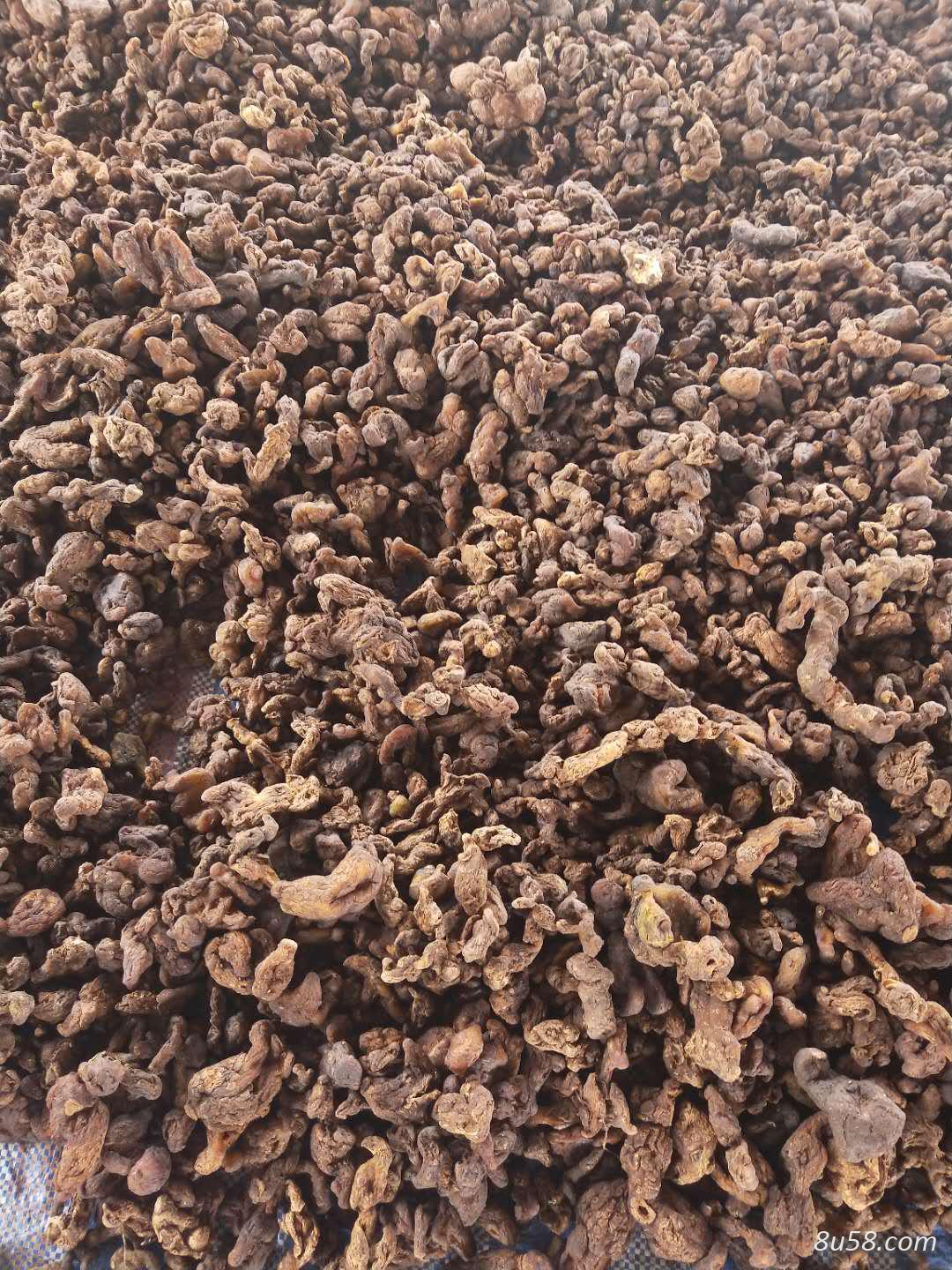 出售黄精，另代收，批发各种药材，砂仁，石斛等等，干湿自定