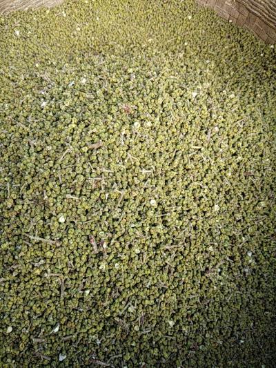 大量出售中花吴茱萸