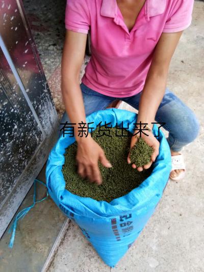 吴茱萸