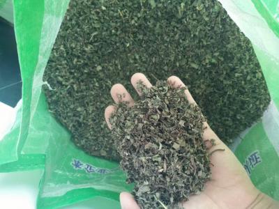 马齿苋