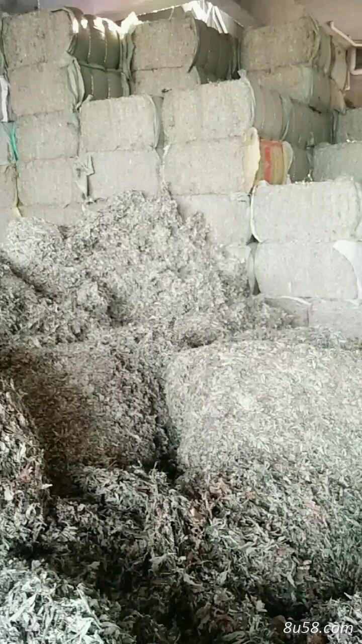 艾叶20吨 有需要的可联系