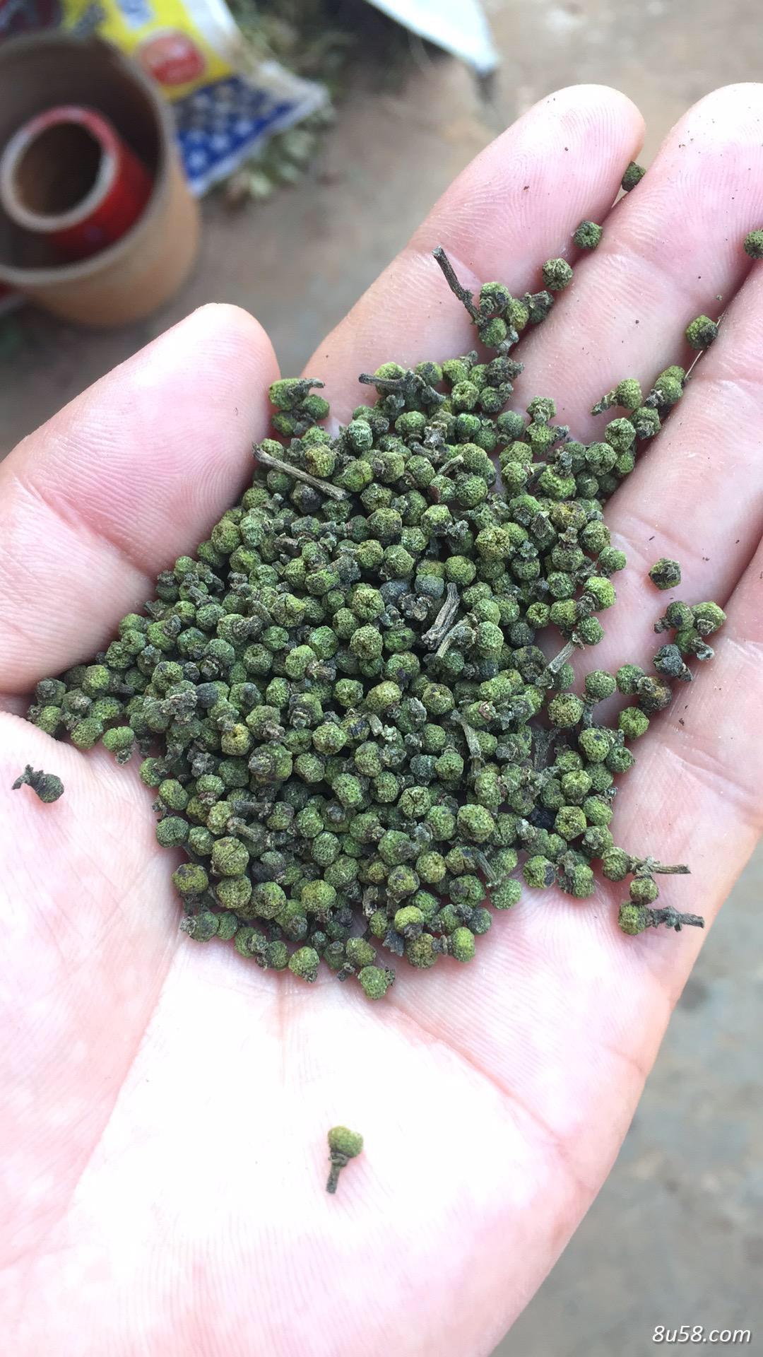 中花吴茱萸