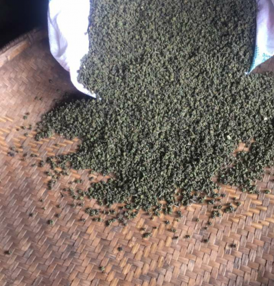 正品吴茱萸
