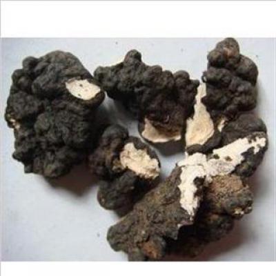 长期出售猪苓，量大，货好，有兴趣的朋友联系我
