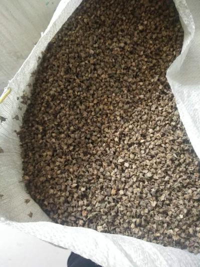 刺蒺藜