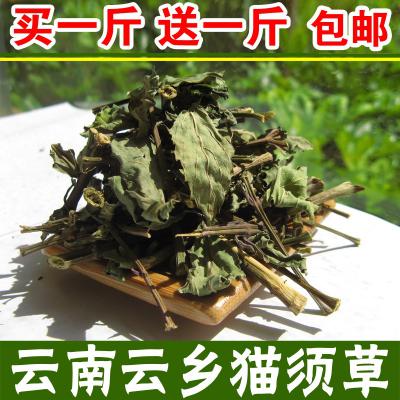 云南猫须草云乡肾茶
