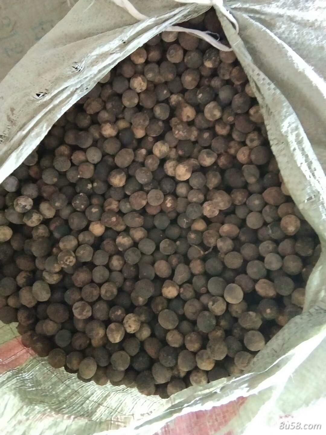 枳实小，中个 8吨左右