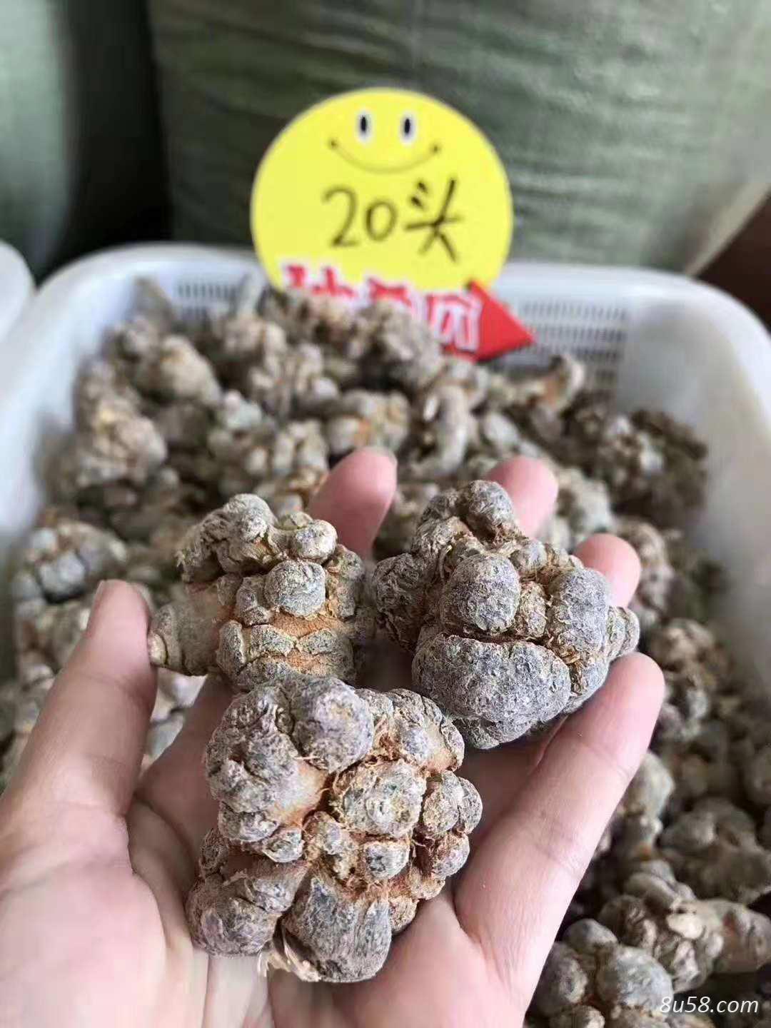 三七 三七粉 三七花 三七根 三七烟斗