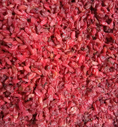 山茱萸肉出售