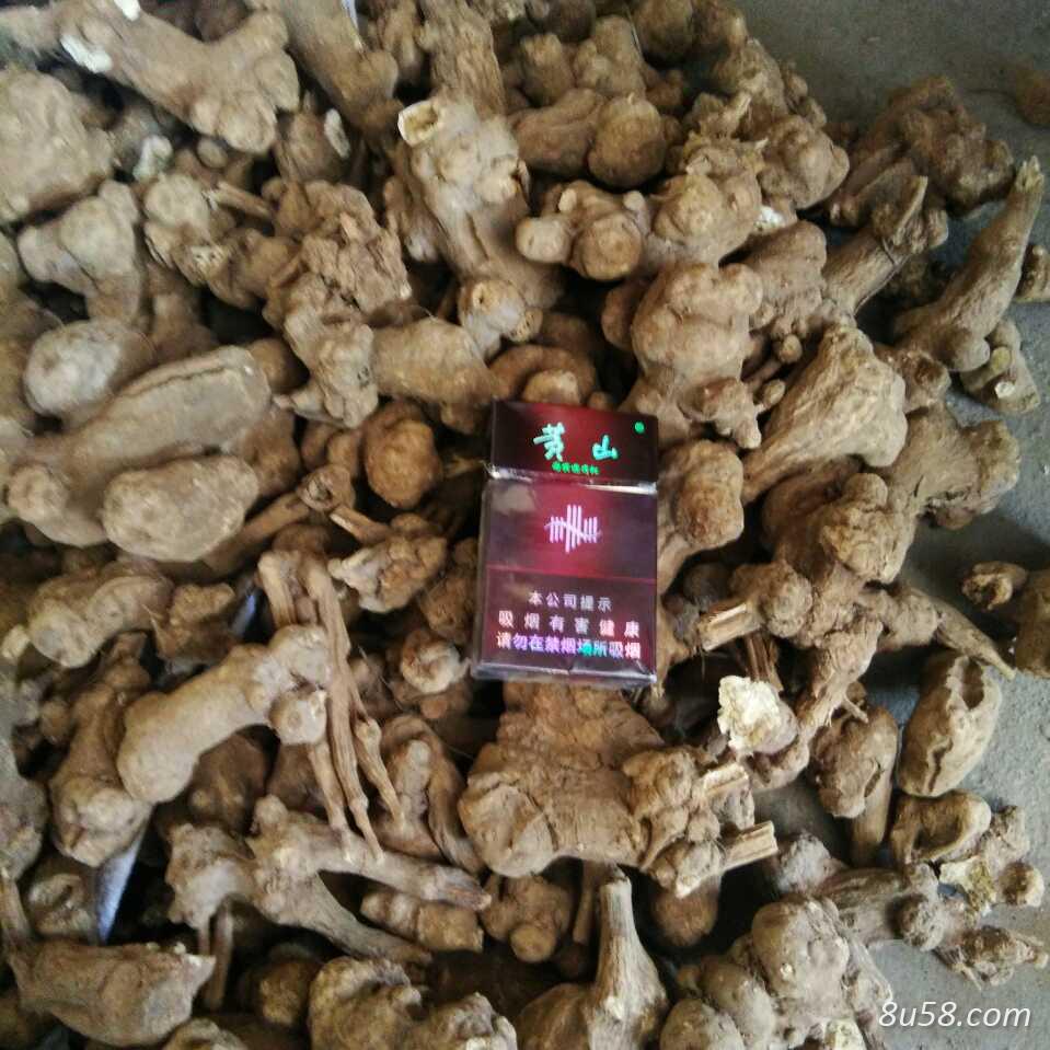 白术量大优惠
