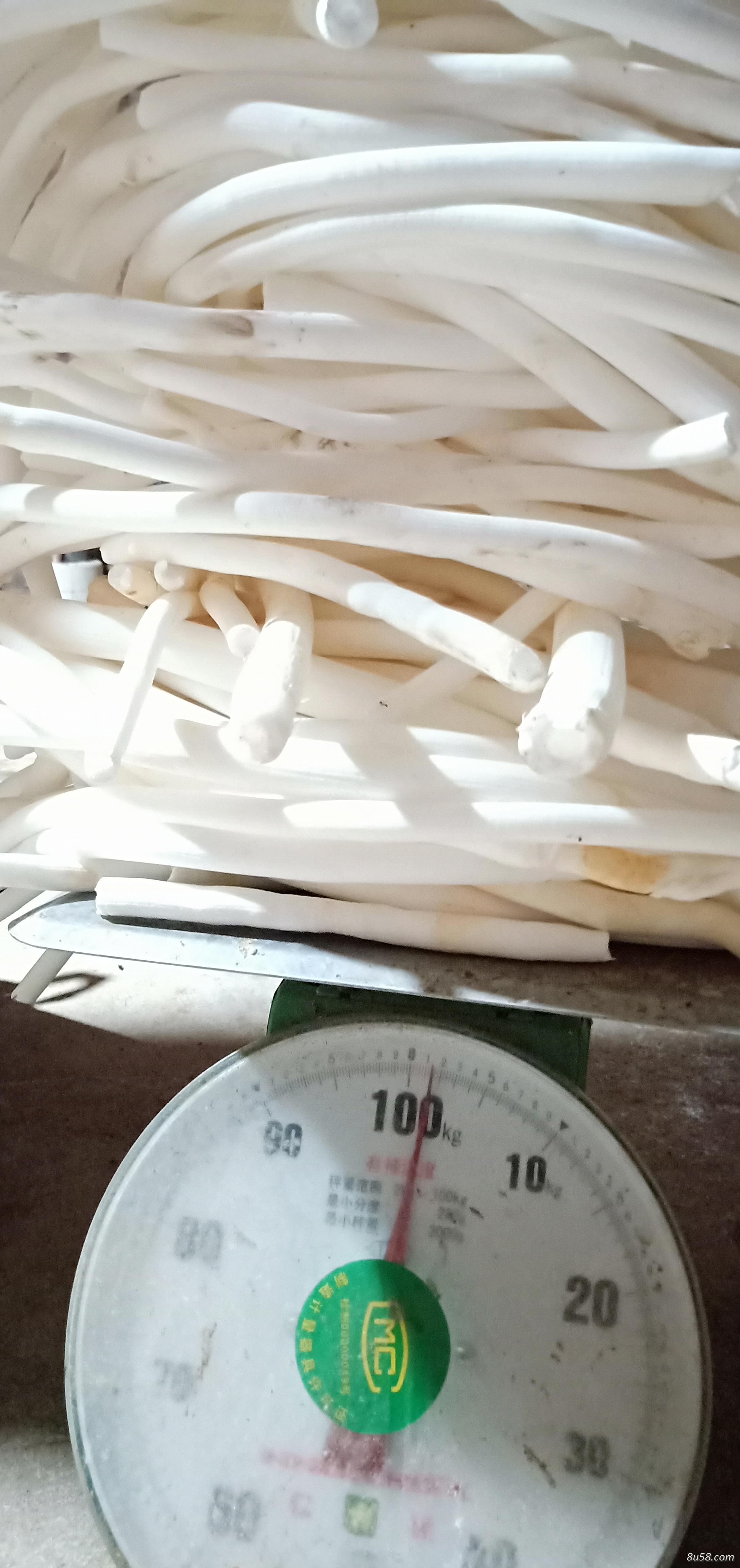 云南野生大通草