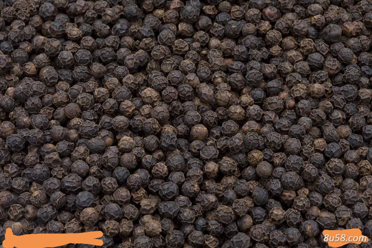 越南当季新鲜黑胡椒