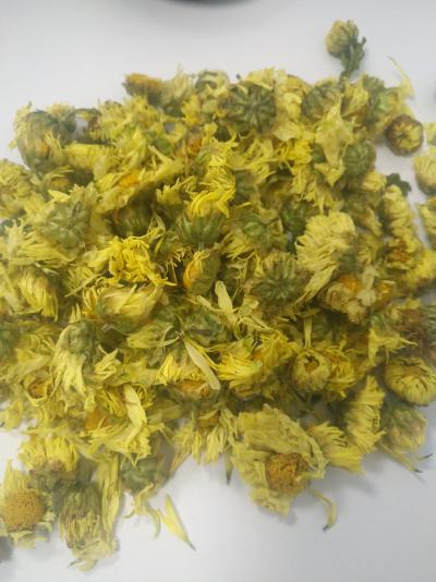 烘干的干杭白菊