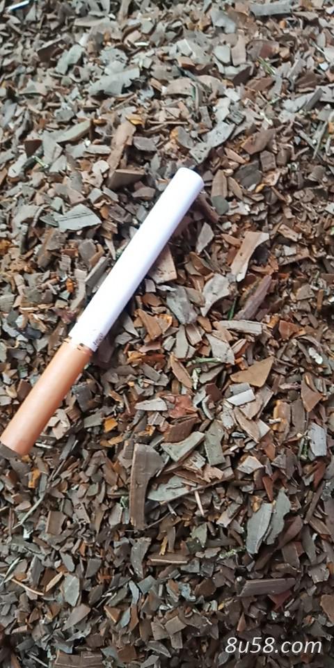 产地大量出售各种规格鬼箭羽