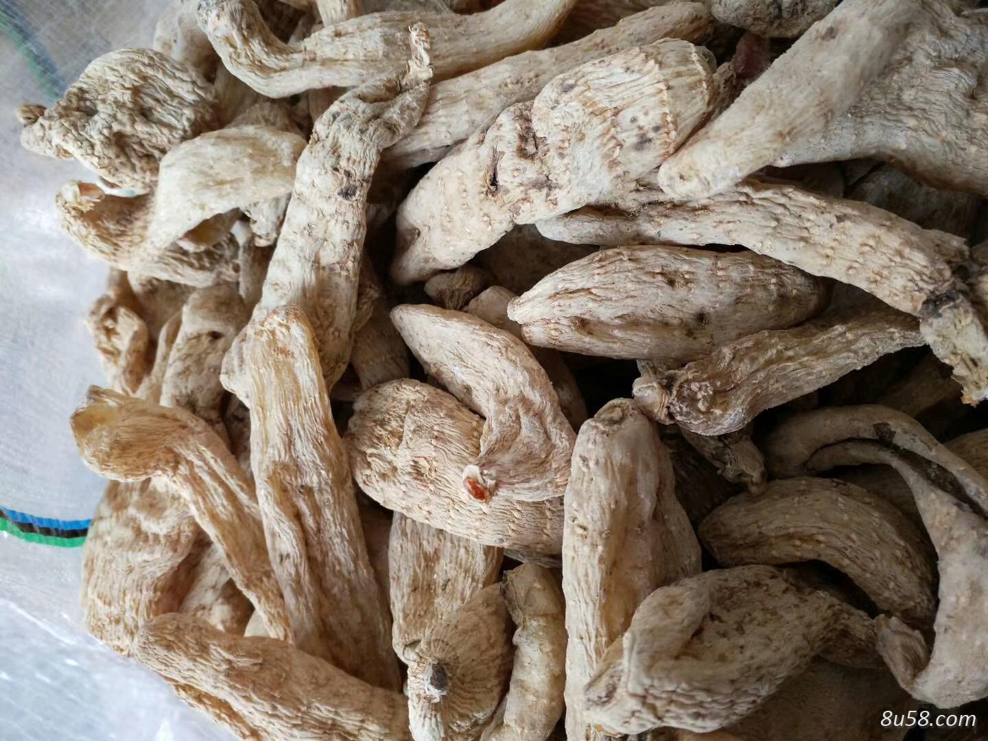 小批量供应特级农户自种无公害秋天麻