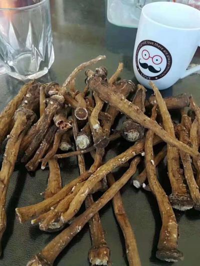 出售蒲公英（婆婆丁）烘干根