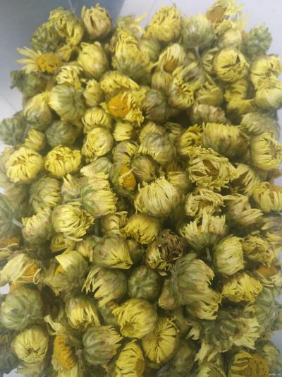 出售烘干的胎菊，50吨