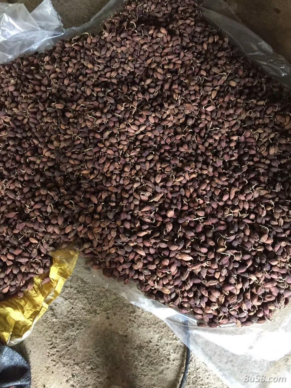 有大量云南草果供应