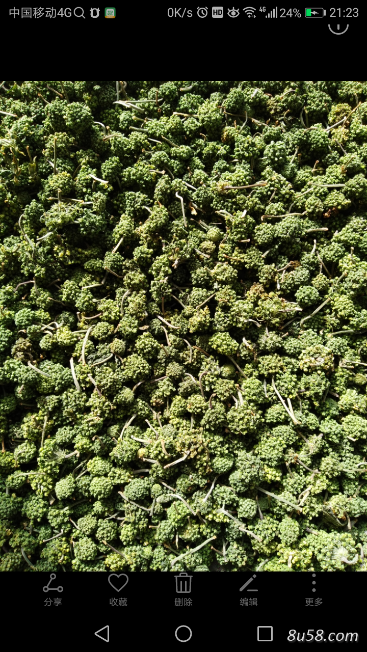 正宗文山三七花(三年花)75元一斤 正宗文山三七花(三年花)75元一斤