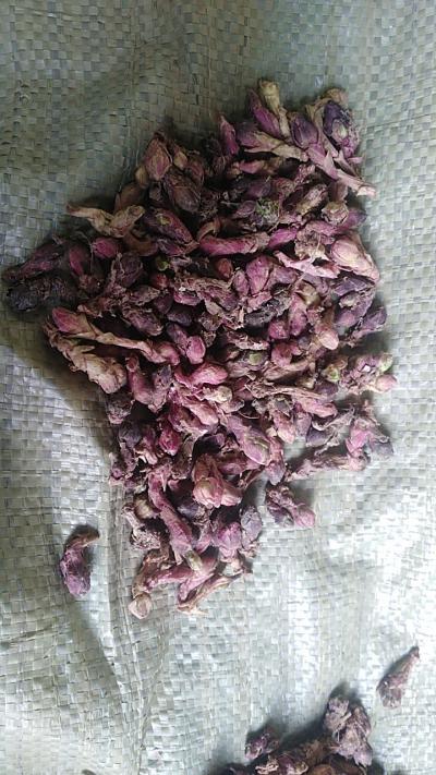 本人有款冬花干货4000公斤，颜色鲜艳，原产地甘肃