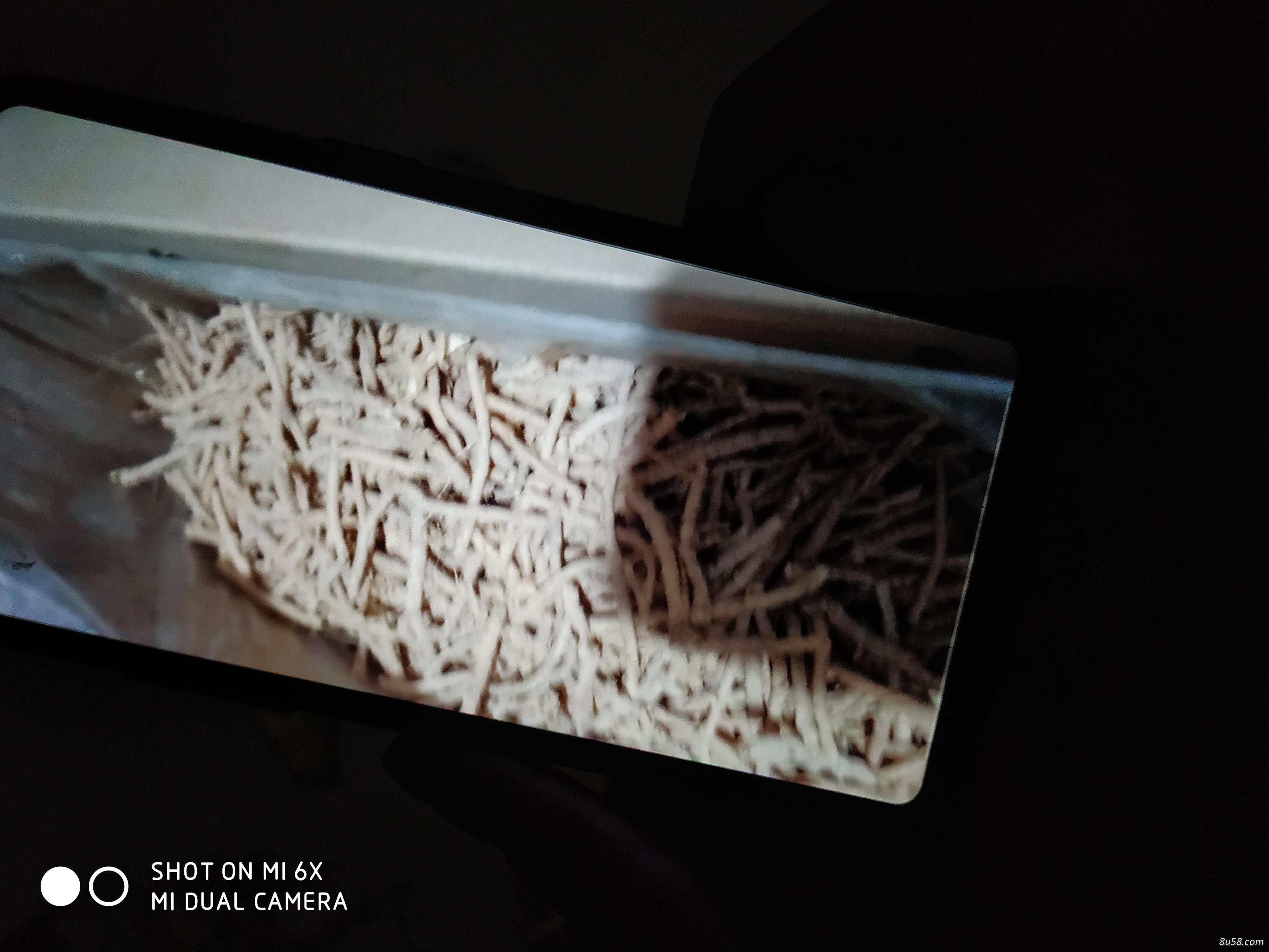 出售远志筒