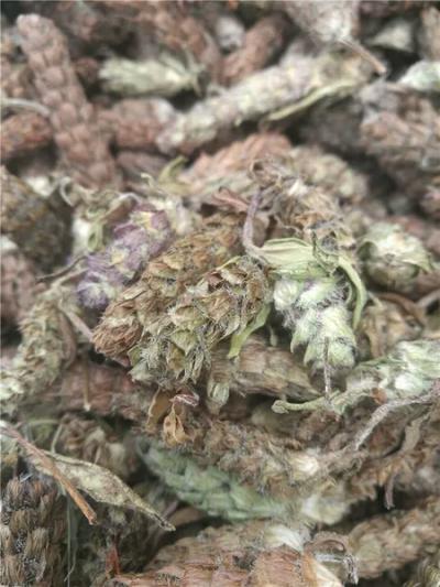 出售夏枯草