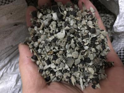 江西九江都昌蔓荆子干货