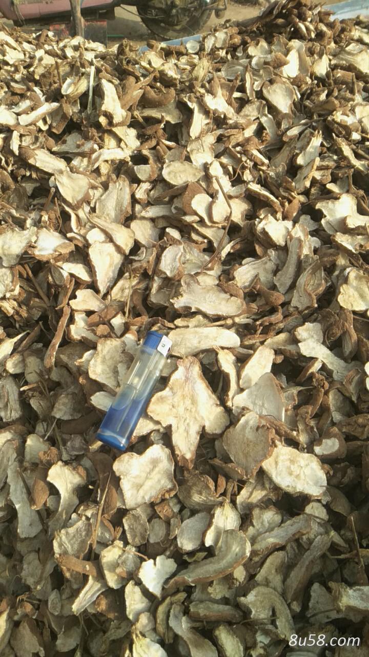 长期合作白术片大小都有一年两年