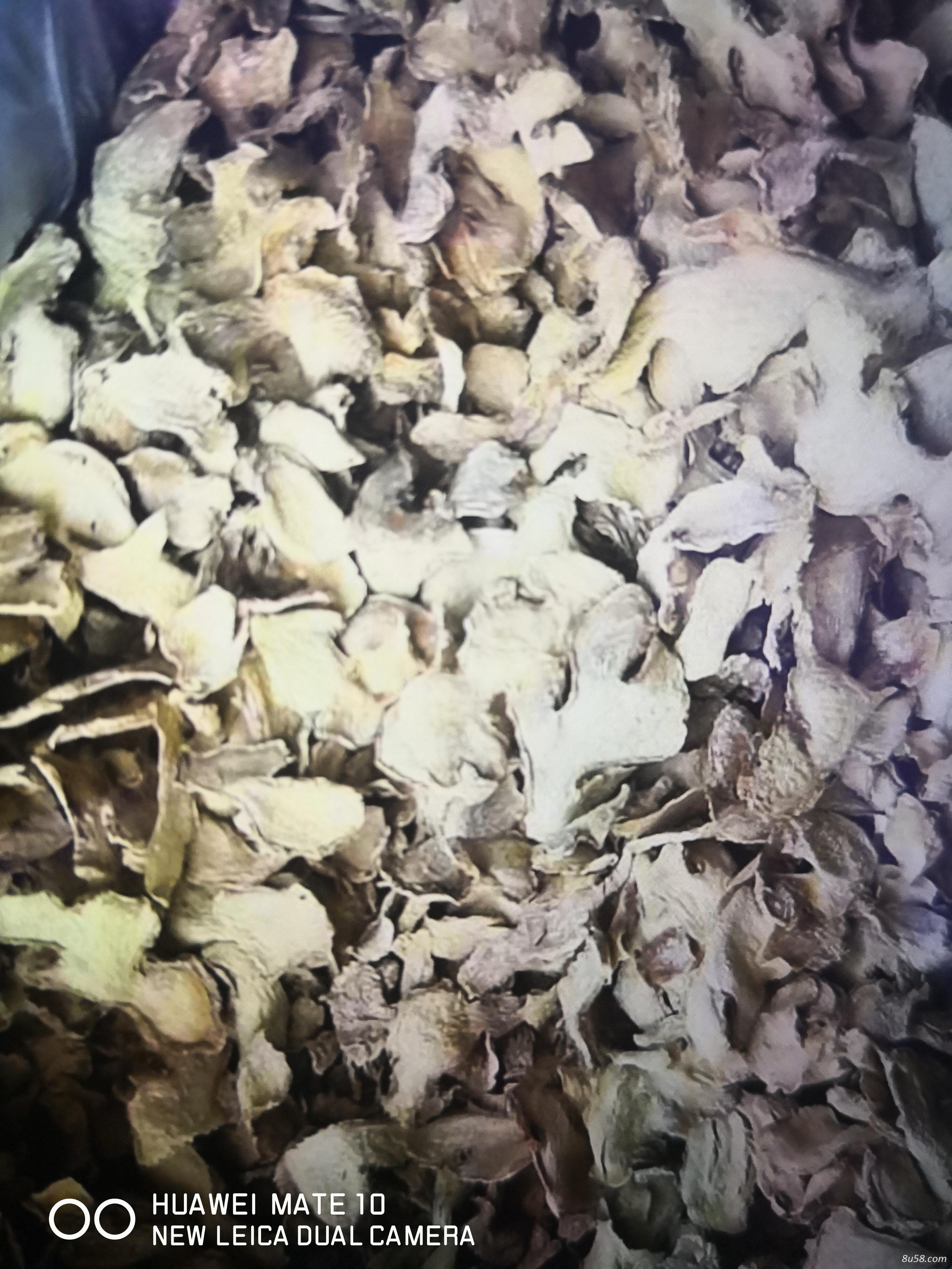 出售云南罗平小黄姜片 出售云南罗平小黄姜片