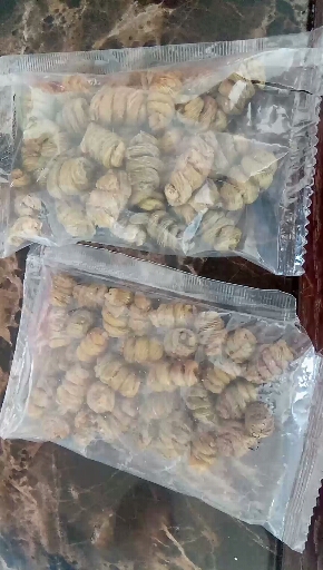 正宗湖南崀山产仿野生铁皮石斛枫斗