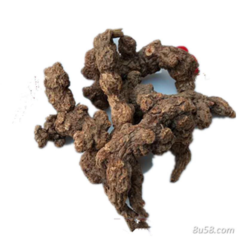 大山里的野生苍术,自家移载种植 大山里的野生苍术,自家移载种植