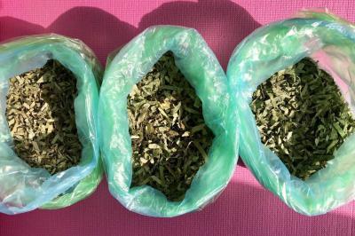 长期批发淫羊藿 精品个子 饮片 0.55～1.4均有大货