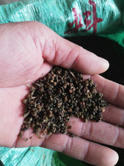 中花吴茱萸一吨，干花