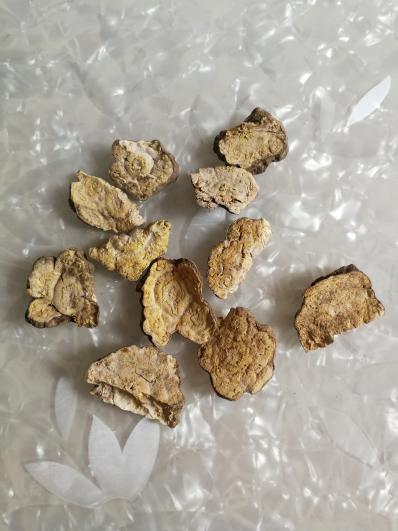 自挖晒干野生切片何首乌