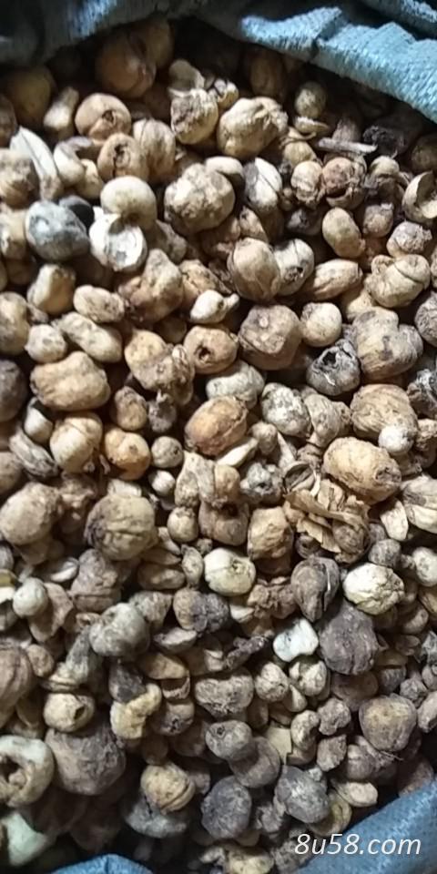 伊贝母 库存干货有20吨 全部包装大小都已分类