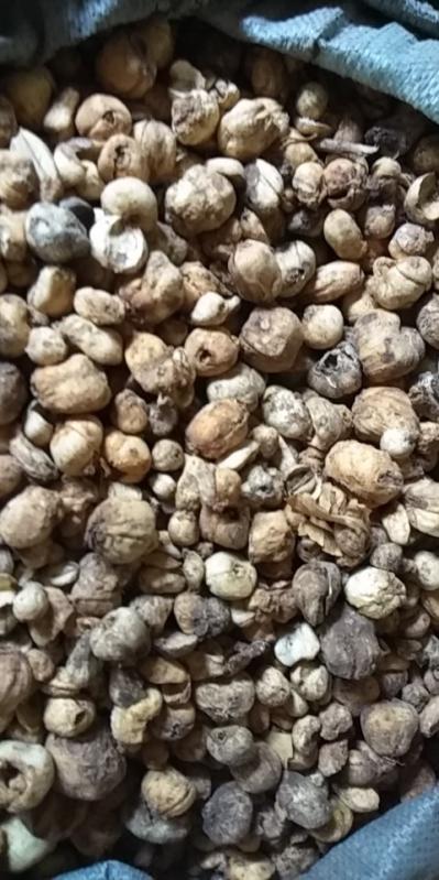 伊贝母 库存干货有20吨 全部包装大小都已分类