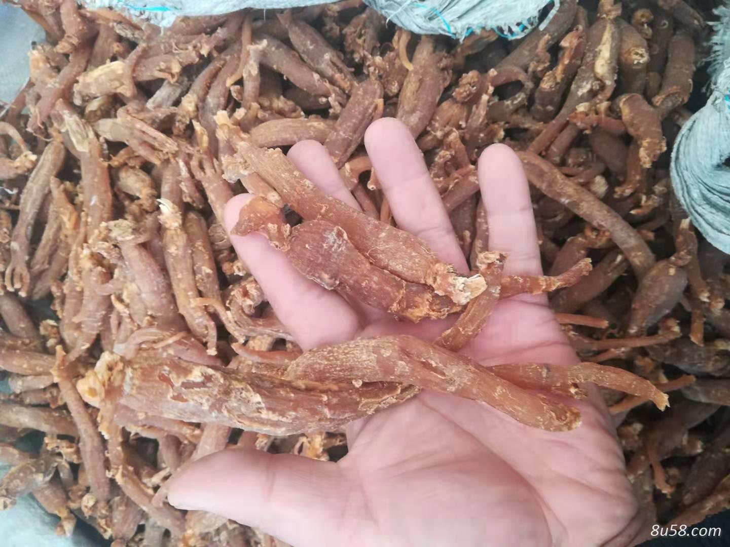 红参