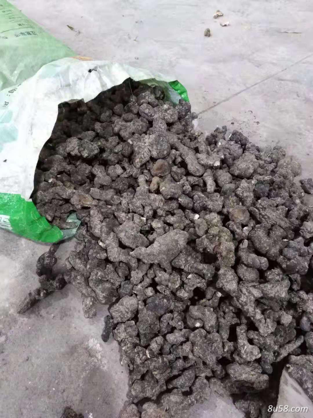 现有大量猪苓出售品相好