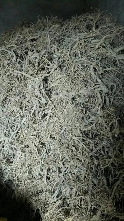 重庆地区自种干货前胡