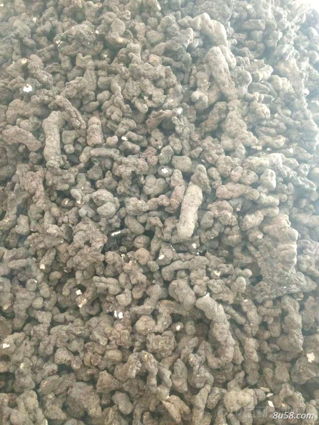 出售猪苓
