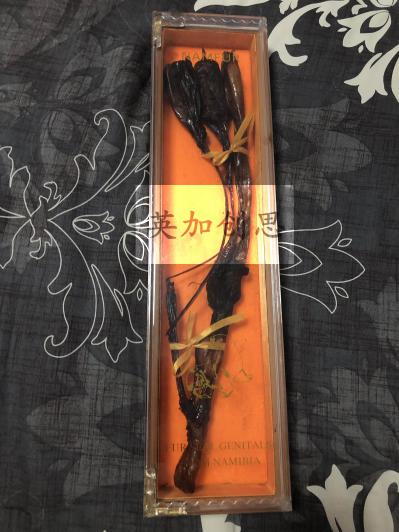 海狗肾7月份大量到货提前预定