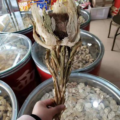 各种规格天山雪莲花批发零售