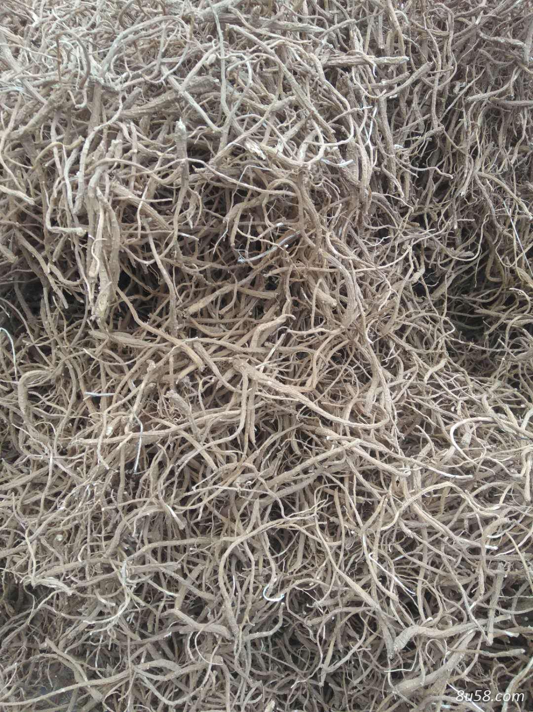 出售金铁锁根和种子