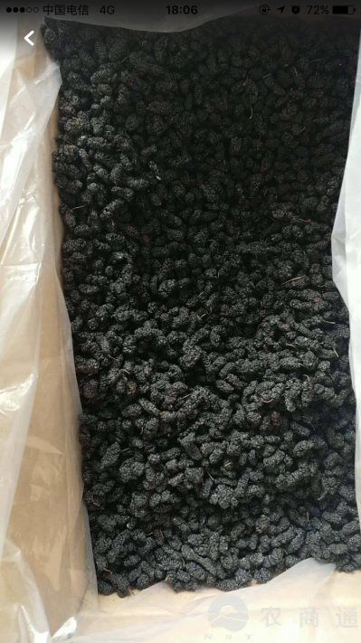 桑椹干