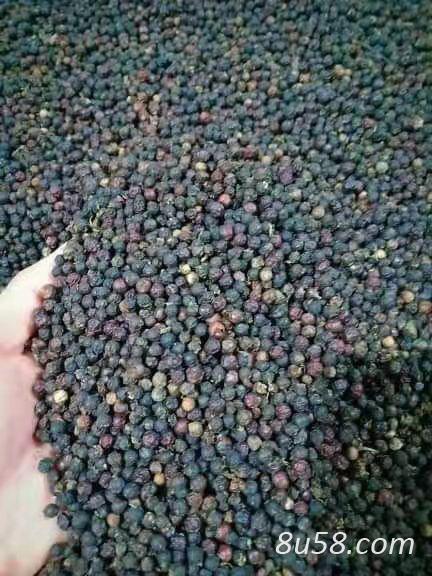 黑胡椒库存10吨