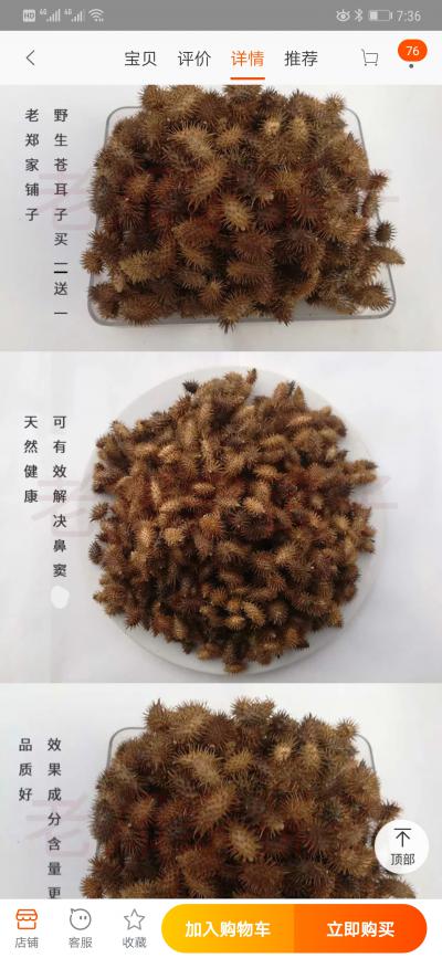 20亩苍耳子