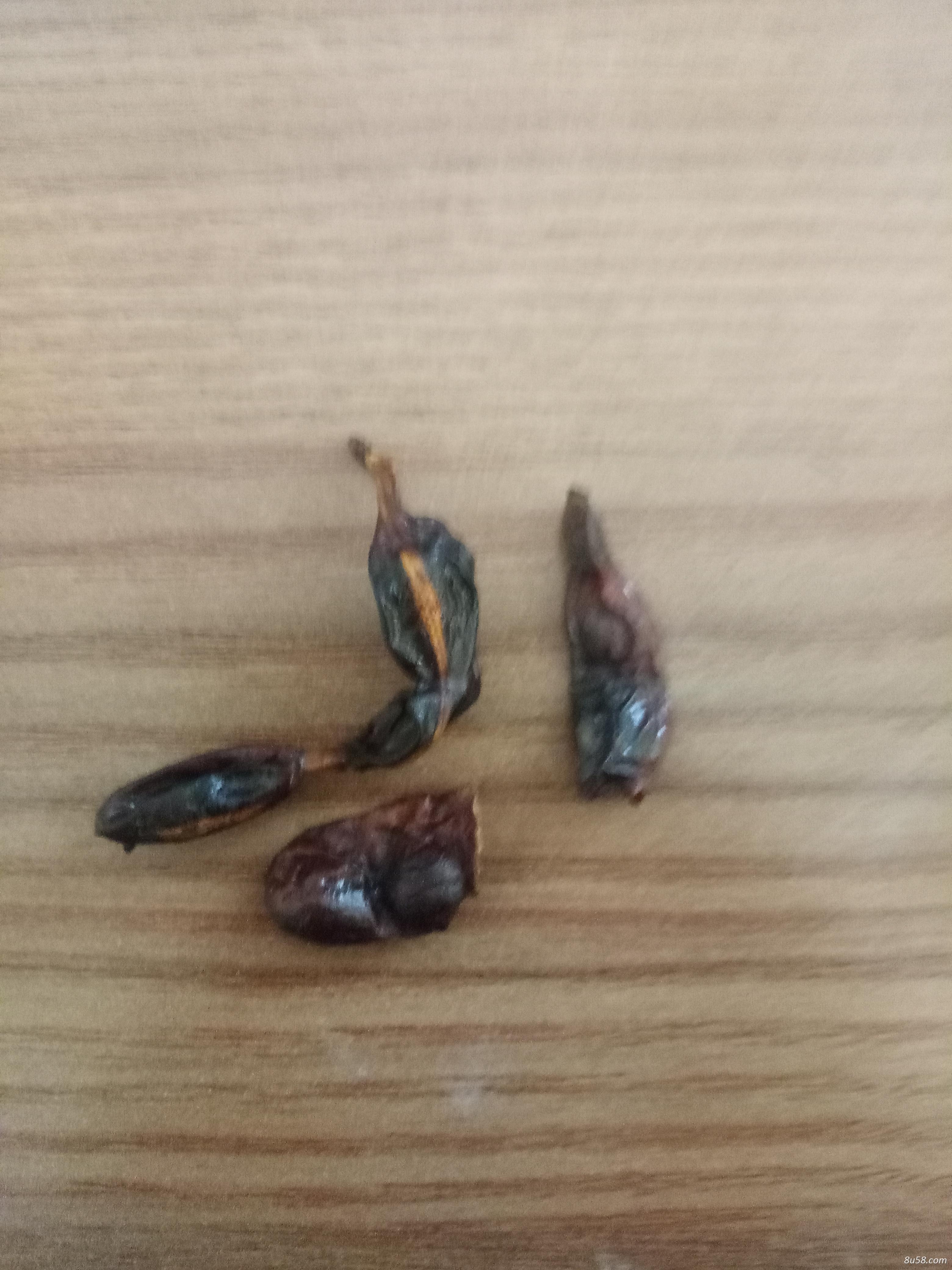 蒸九晒九槐角茶 蒸九晒九槐角茶