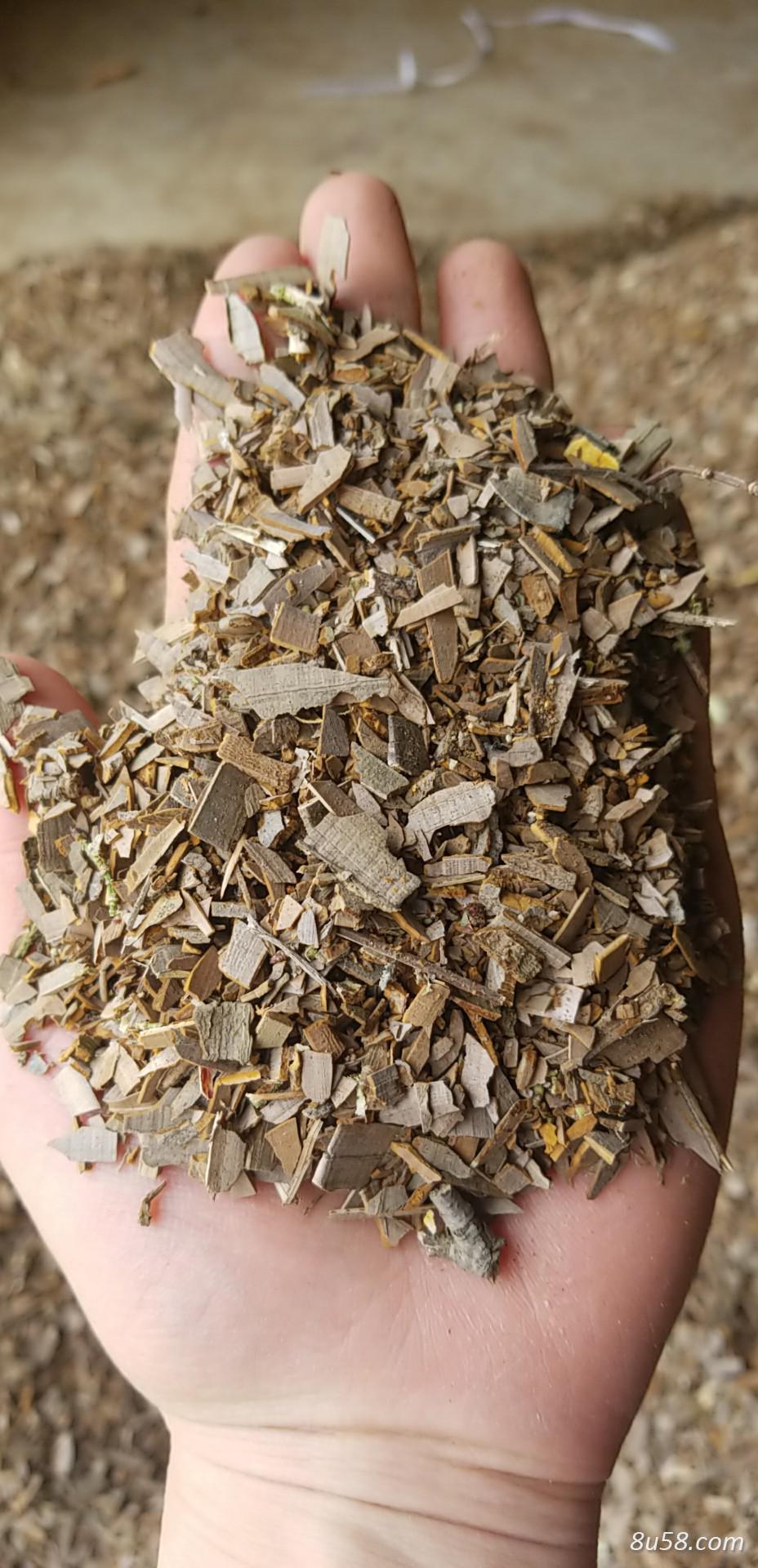 长期购销鬼箭羽