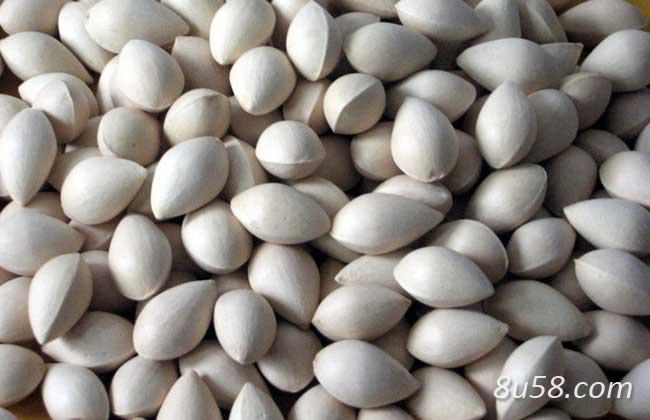 大量白果找买家 大量白果找买家